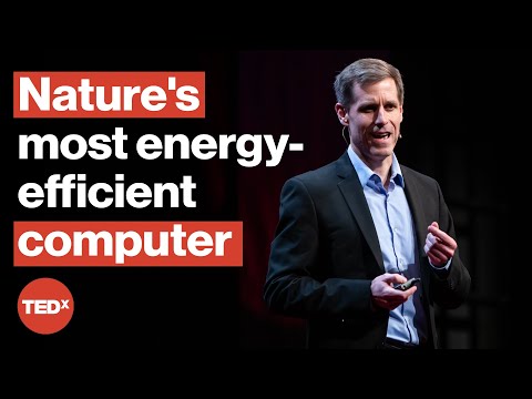 AI uses too much energy—nanotech is the solution | Dr. Mark Hersam